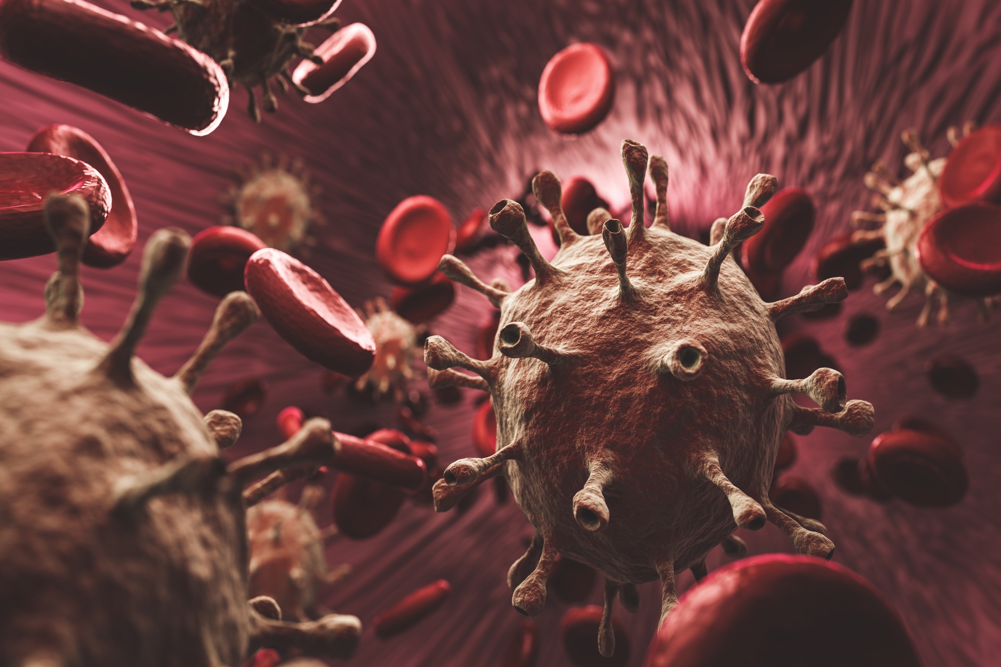 Coronavirus and blood cells in organism. Red blood cells and coronavirus in an organism