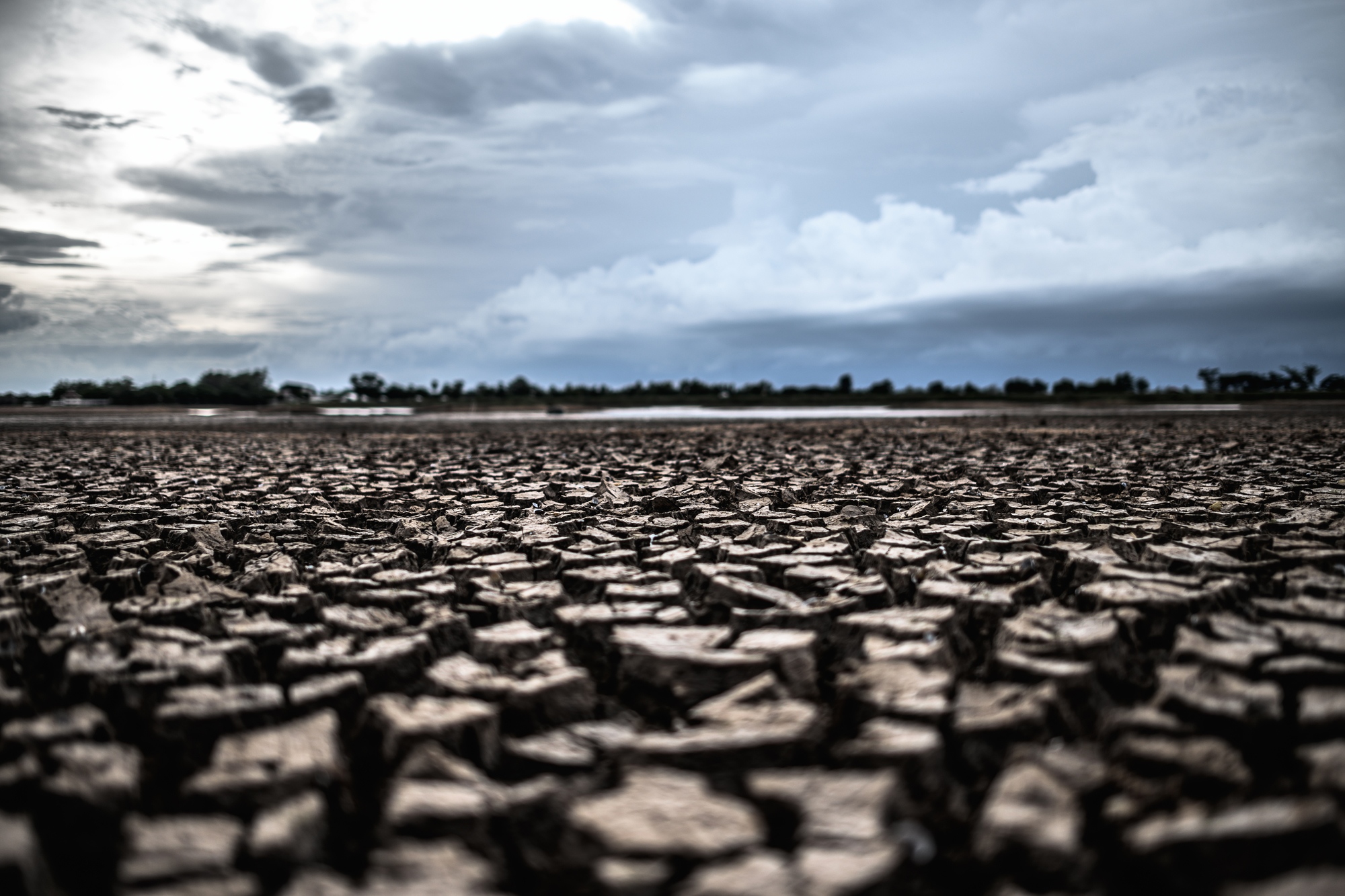 Arid land with dry and cracked ground